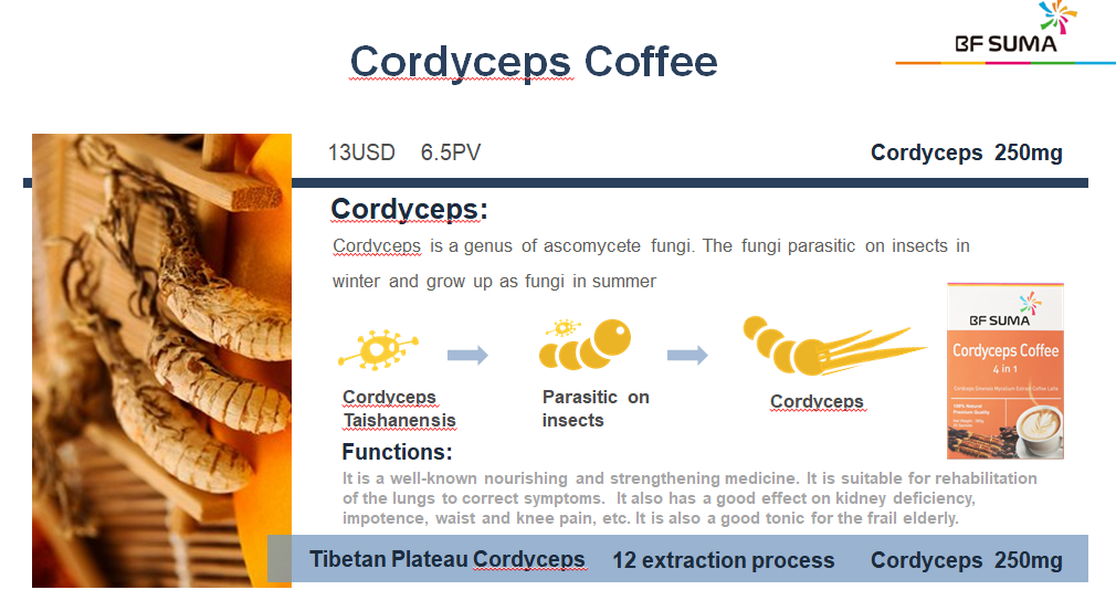 BF Suma Cordyceps 4in1 Coffee 20 Sachets Immune Booster, Boost Immunity, Enhance Energy, Nourish the Kidneys, AP039F